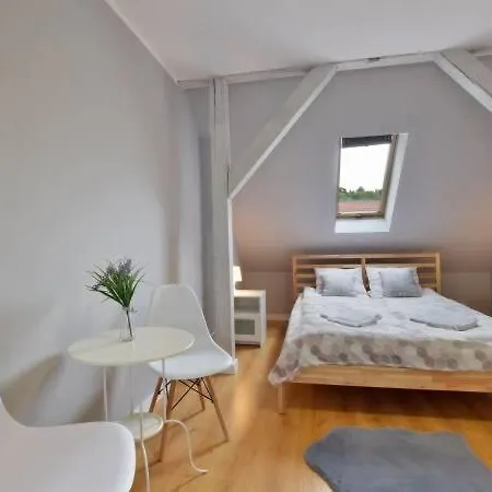 Apartament W Mieście *